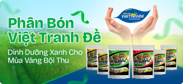 Việt Tranh Đề