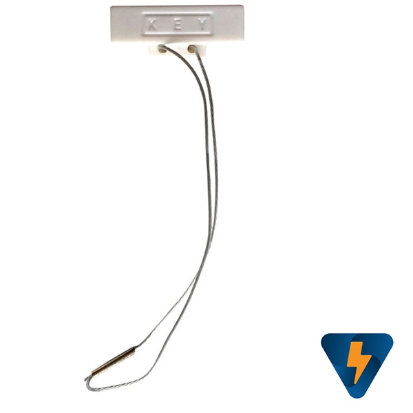 Key từ khóa từ nam châm từ cho bộ điều khiển từ xa F21-E1B TX