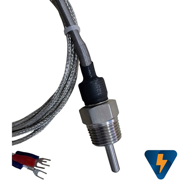 Cảm biến nhiệt độ PT100 Ren 21 đầu dò dài 20mm