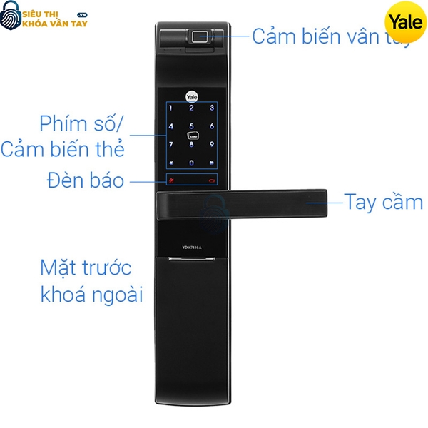 Chi tiết kết cấu tay cầm gạt mở và vùng cảm biến vân tay đỉnh cao của khóa Yale YDM7116A