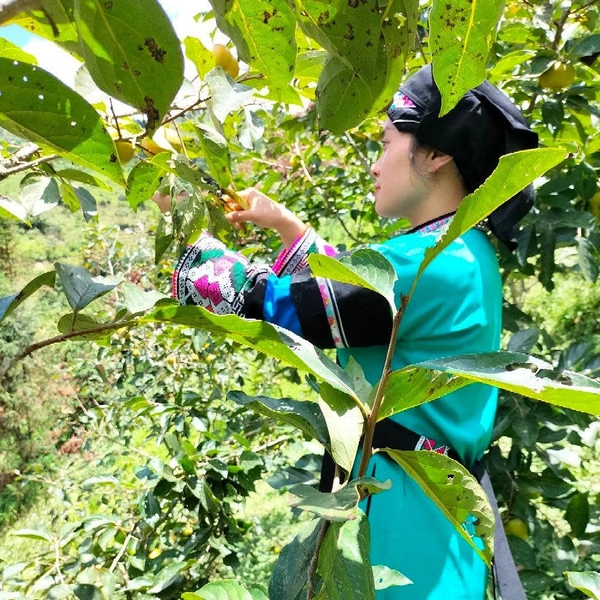 NGỌN LỬA ẤM GIỮA NÚI RỪNG