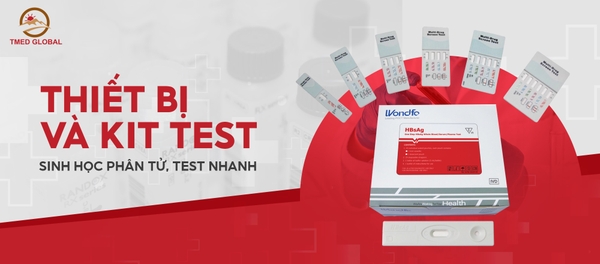 Công ty TNHH TMED Toàn Cầu