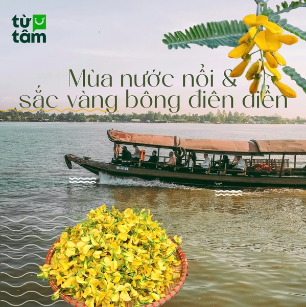 Mùa nước nổi từ con nước đến sắc vàng bông điên điển