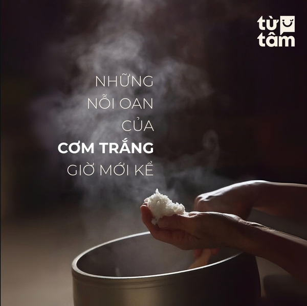 Những hiểu lầm phổ biến về cơm