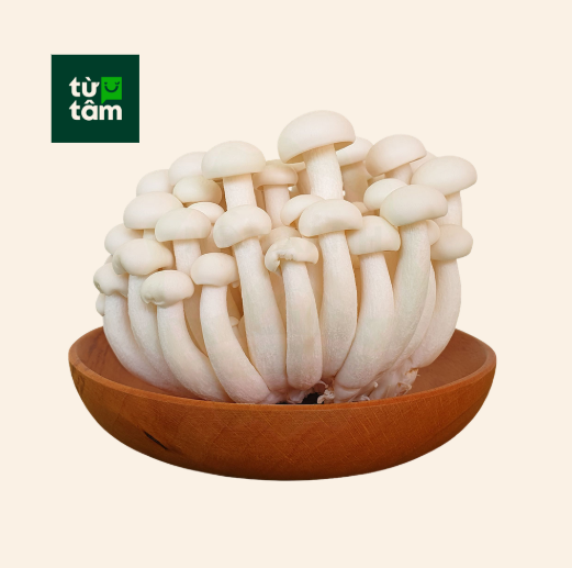 Nấm Linh Chi Trắng | 125g