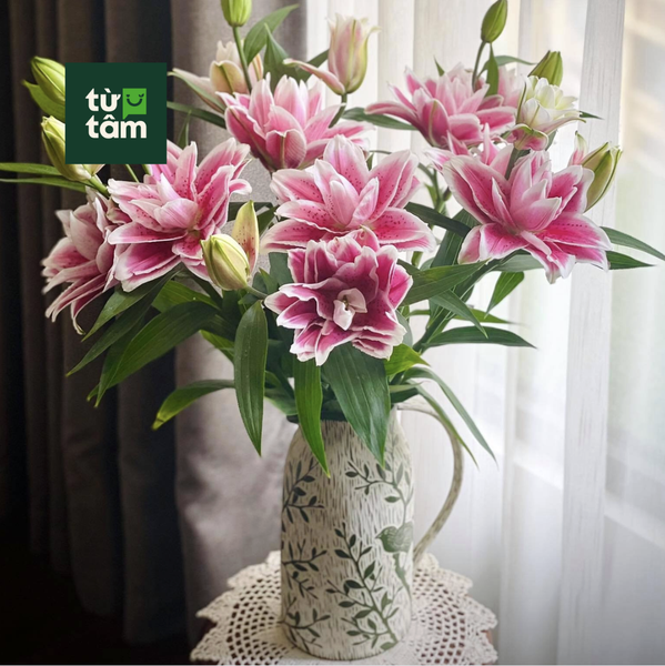 Hoa Ly Kép | 5 Cành