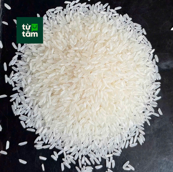 Gạo Thơm Lài  Dẻo Ngọt