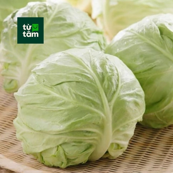 Bắp Cải Trắng | 550-600g