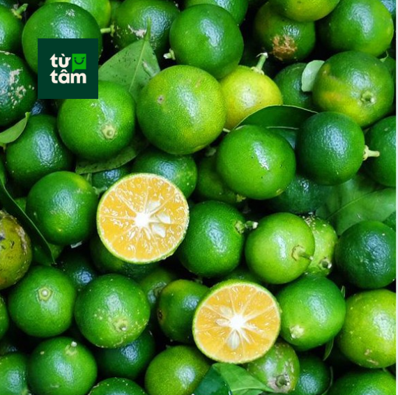 Tắc (Quất) | 200g