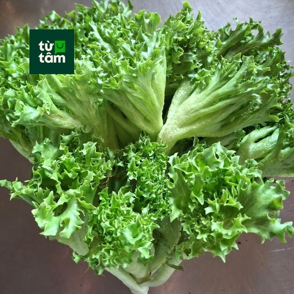 Xà Lách Thuỷ Tinh | 250g