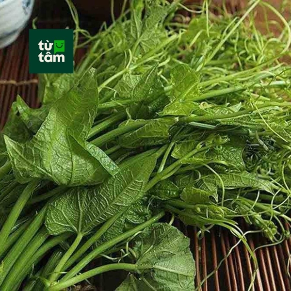 Đọt Su | 500g