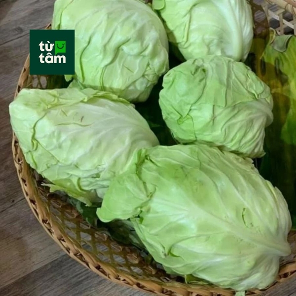 Bắp Sú Tim | 350-400g