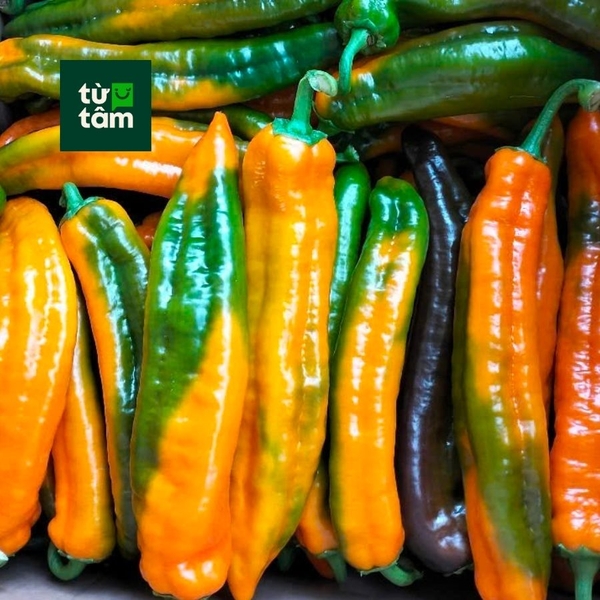 Ớt Palermo | 250-300g