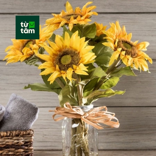 Hoa Hướng Dương | 5 Cành