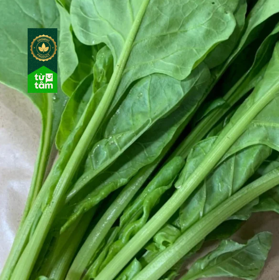 Hữu Cơ _ Cải Bó Xôi Nhiệt Đới | 250g