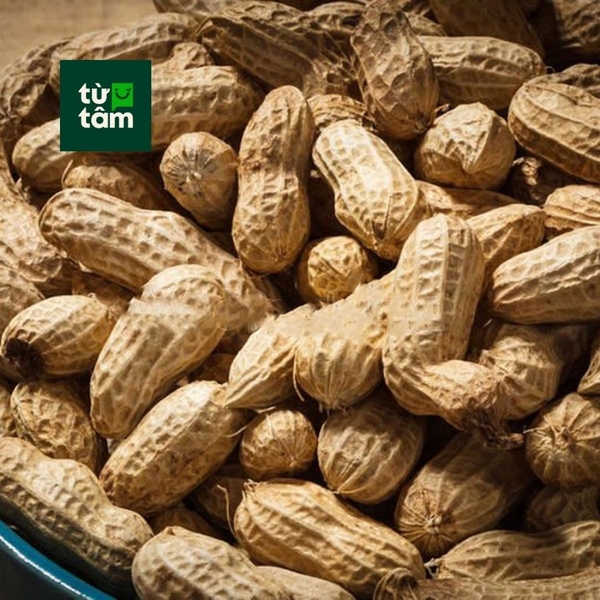 Đậu Phộng Tươi | 450-500g