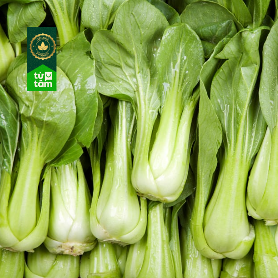 Hữu Cơ _ Cải Thìa | 250g
