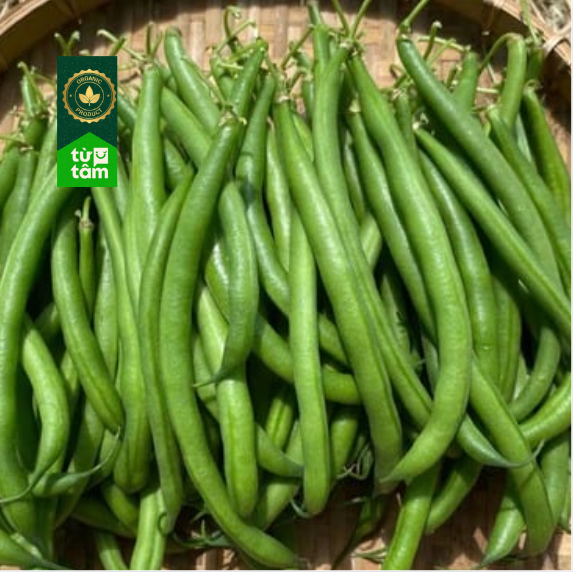 Hữu Cơ _ Đậu Que | 250g