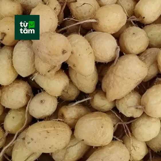 Lùn Bột | 950-1000g