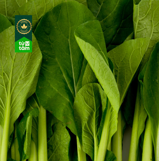 Hữu Cơ _ Cải Ngọt | 300g