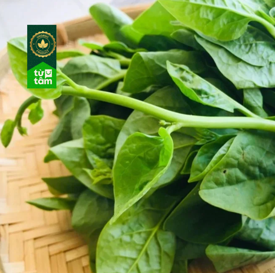 Hữu Cơ _ Mồng Tơi | 250g