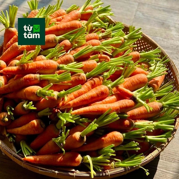 Cà Rốt Baby | 200g