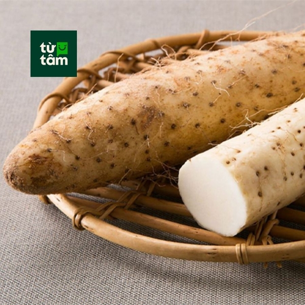 Khoai Từ	| 450-500g