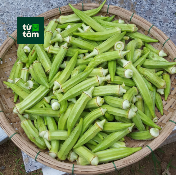 Đậu Bắp | 300g