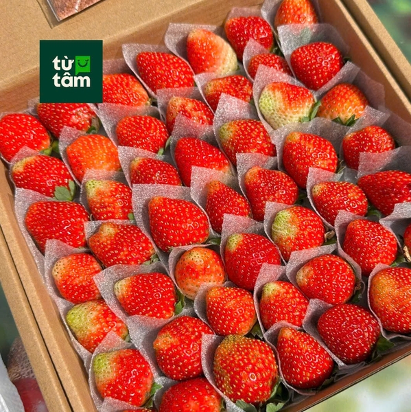 Dâu Đà Lạt size 49 | 500g