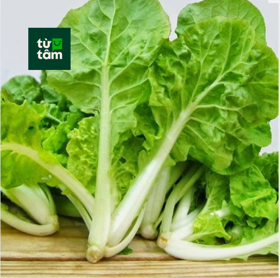 Cải Nhúng | 300g