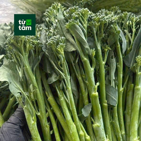 Súp Lơ Baby | 500g