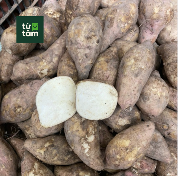 Khoai Lang Sữa | 900-1000g