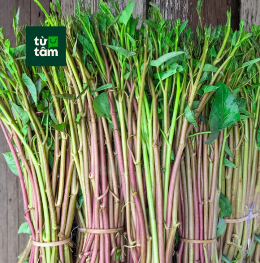 Rau Muống Đồng Tím | 300g