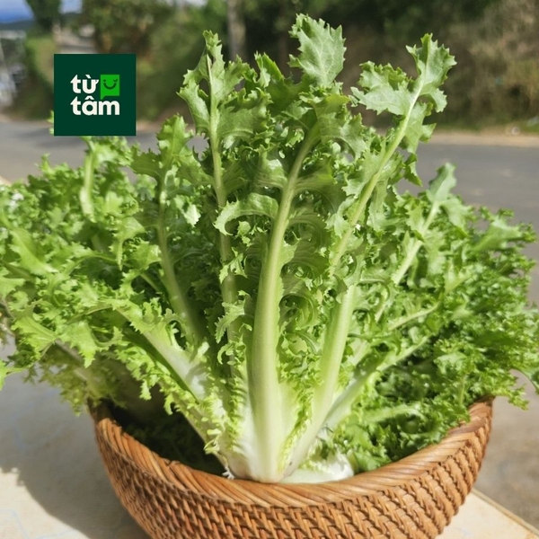 Xà Lách Friese Xanh | 150g