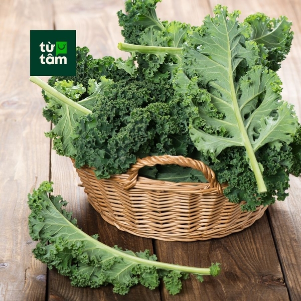 Cải Kale | 500g