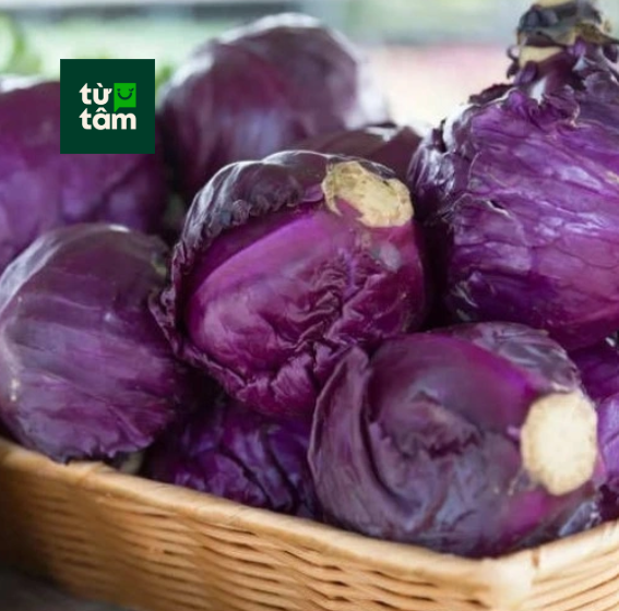 Bắp Cải Tím | 350-400g
