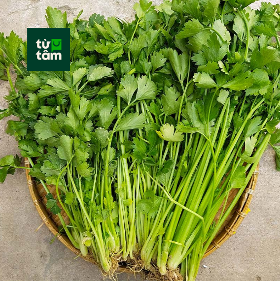 Cần Tàu | 100g