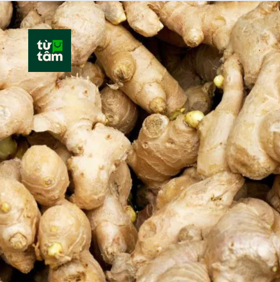 Gừng | 100g