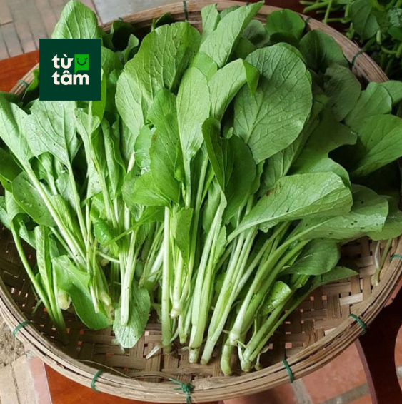 Cải Ngọt | 300g