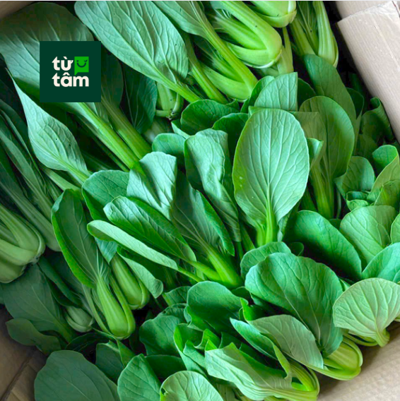 Cải Thìa	| 300g