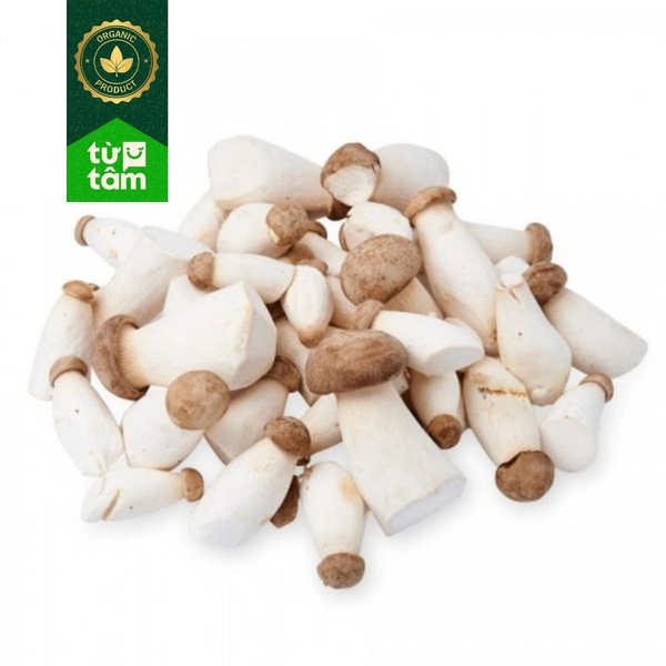 Nấm Đùi Gà Mini | 200-250g