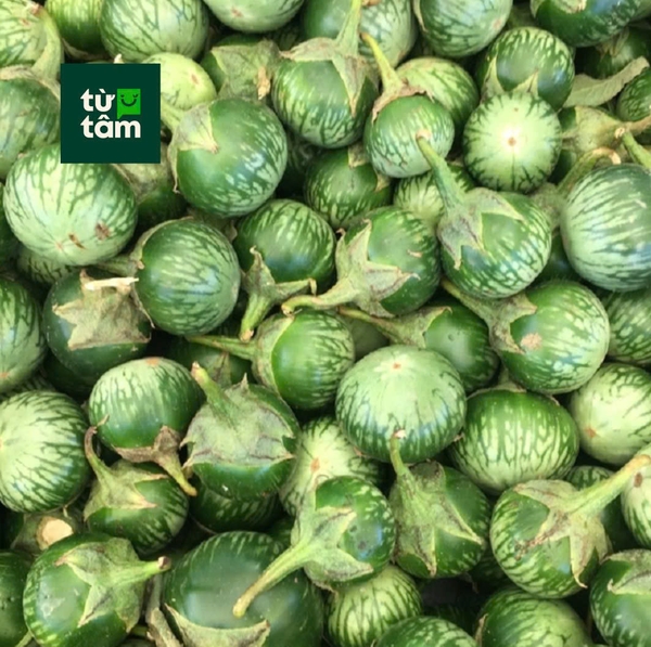 Cà Dĩa Sọc Xanh | 300g