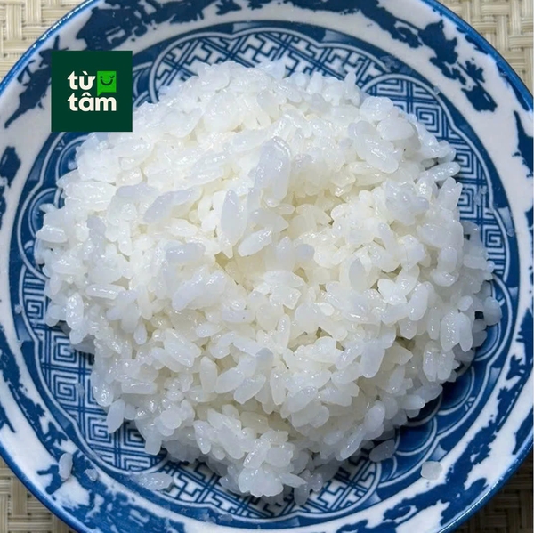 Gạo Nhật Japonica