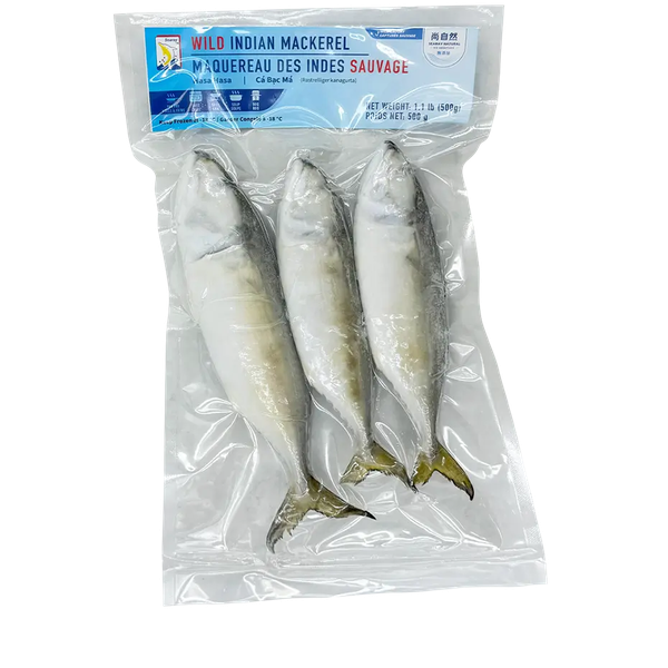 Lucky Pinoy, Indian Mackerel - Ca Bac Ma (by lb)