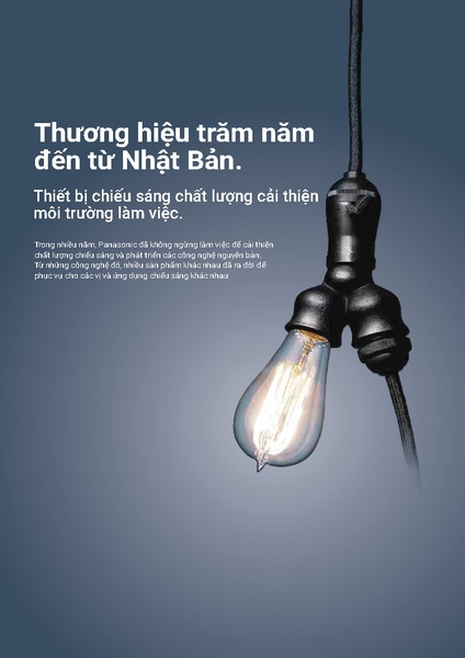 ĐÈN CHIẾU SÁNG PANASONIC 2025