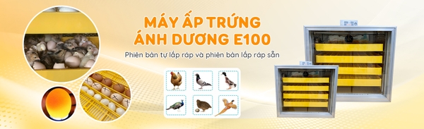 Máy ấp trứng Ánh Dương