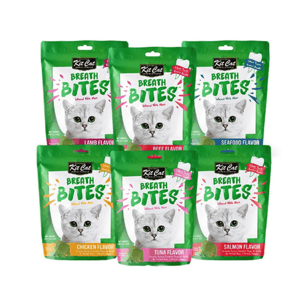 Snack Sạch Răng Cho Mèo Kit Cat Breath Bites (60g)