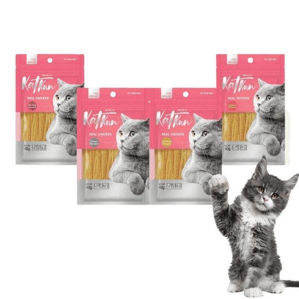 Bánh Thưởng Thịt Sấy Daisuki Snack Mèo (40g) - 4 Vị (Thái Lan)
