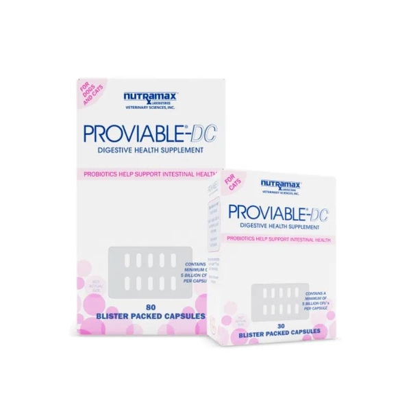 Men Tiêu Hoá Cho Chó Mèo Nutramax Proviable (USA)