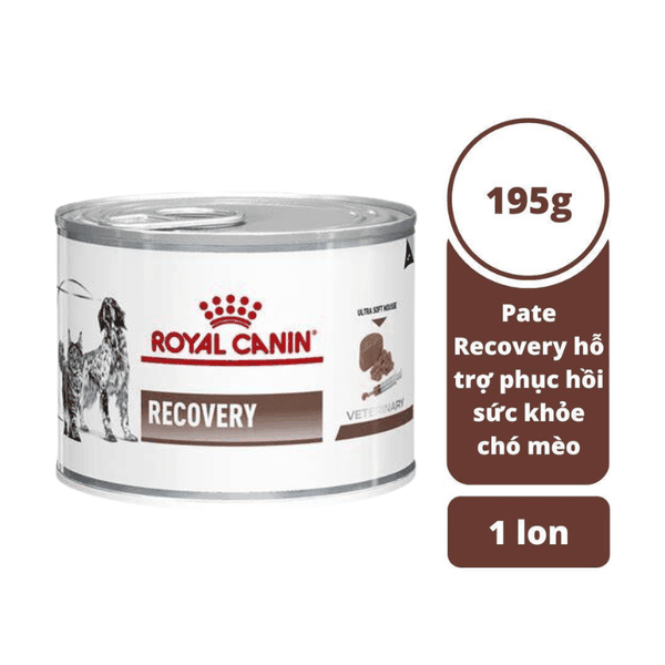 Pate Cho Chó Mèo Phục Hồi Sức Khỏe Royal Canin Recovery Lon (195g)